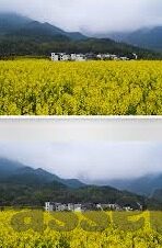 奥客足球比分直播-揭秘奥客足球比分直播，球迷的实时观赛新体验