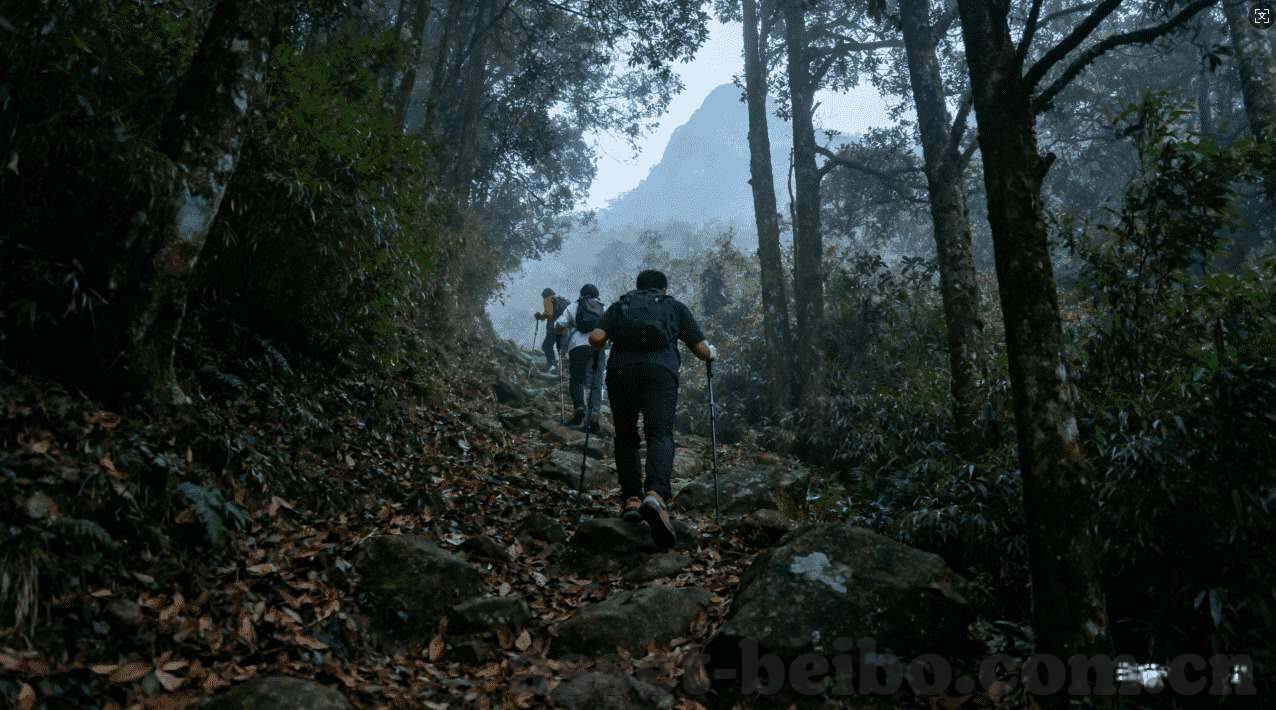 开云体育官方-开云体育，重塑体育精神的官方平台