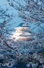 mk全站官网下载-重塑数字体验，MK全站官网下载一键解锁无限可能